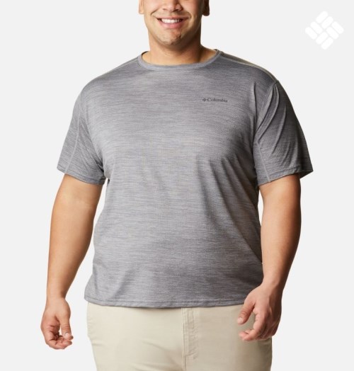 Men's Columbia Alpine Chill Zero Short Sleeve Crew T Shirts Grey | Plus Size CA-W36CA